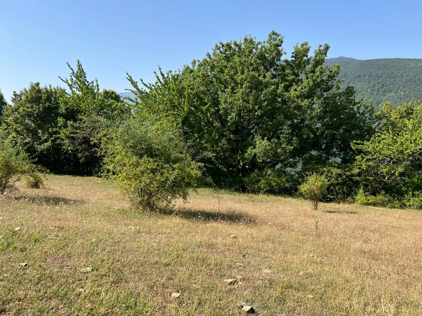 Land for sale in Broto