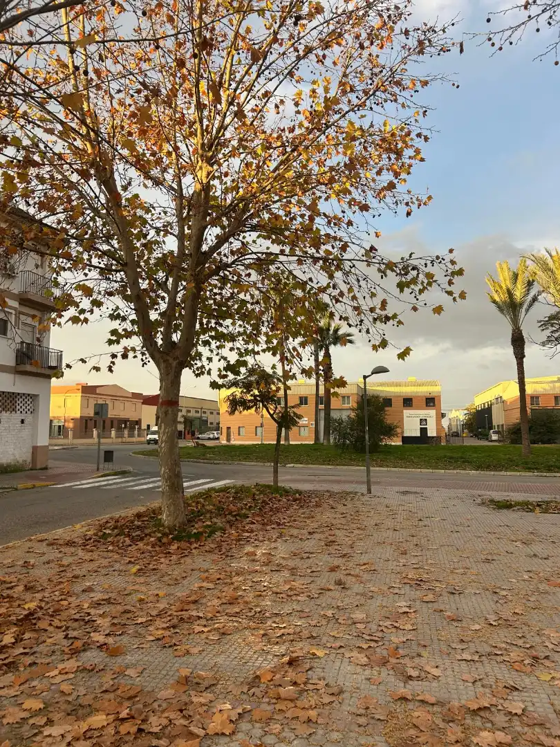 Vista exterior de Local en venta en Los Palacios y Villafranca
