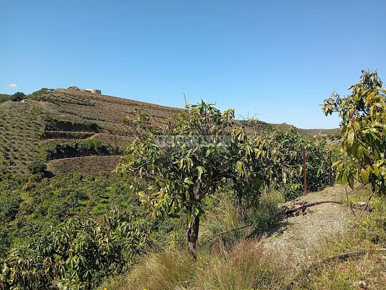 Grundstücke und Bauplätze zum Verkauf in Vélez-Málaga ciudad, imagen 3