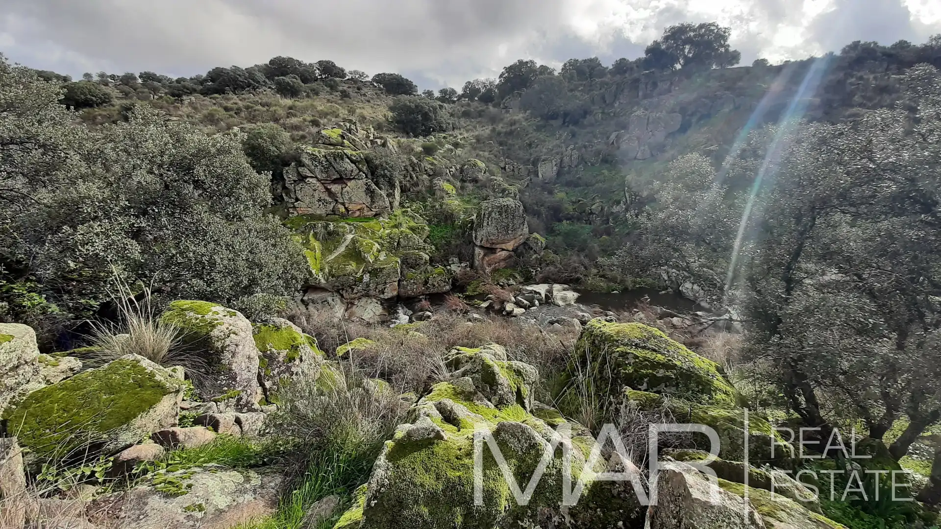 Terreni e lotti in vendita a Villar del Pedroso, imagen 46