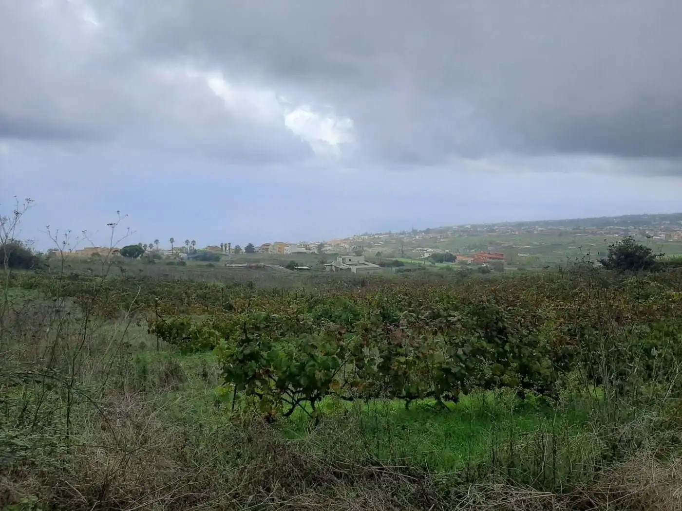 Terreny rústic en venda a CRUZ DE LEANDRO, imagen 5