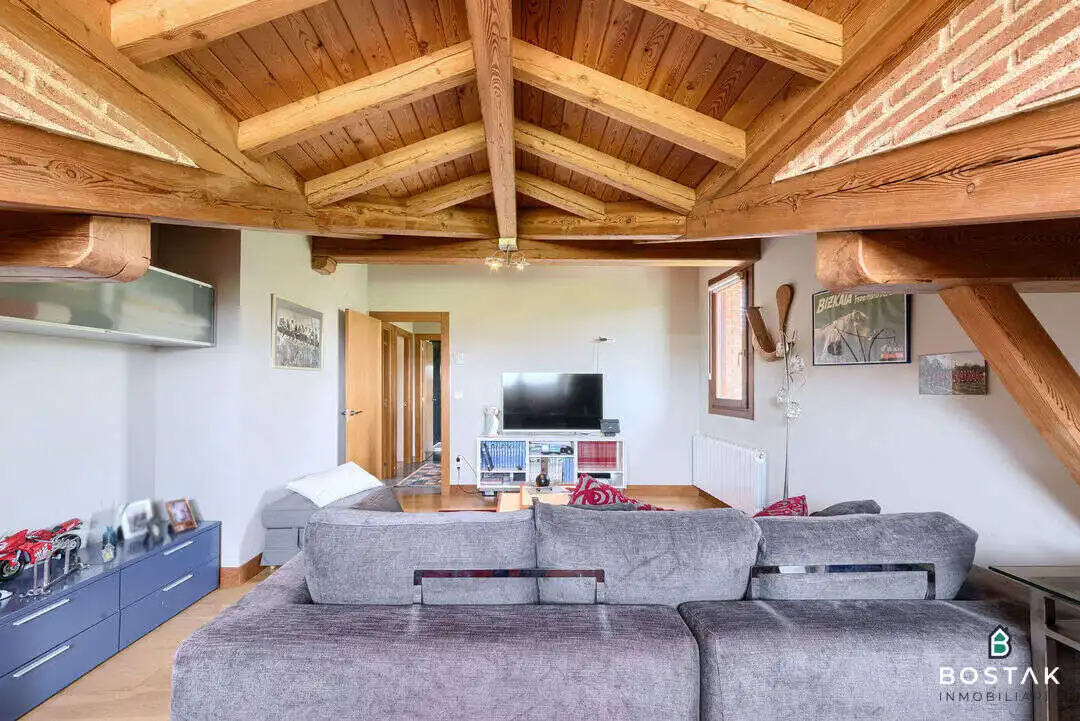 Country house with terrace for sale in Barrio Ergoien, imagen 42