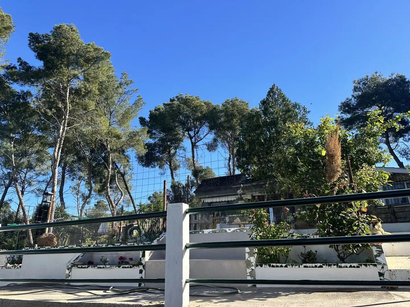 Exterior view of Houses for sale in Alfara de la Baronia  with Heating, Private garden and Terrace