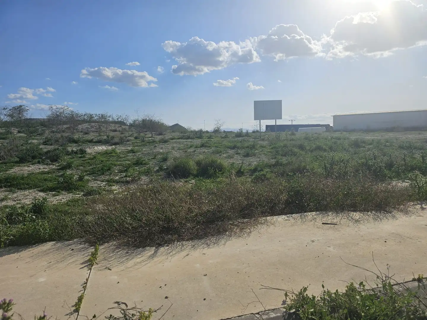 Terreno industrial en venta en Carretera de Ceutí, 12, Alguazas