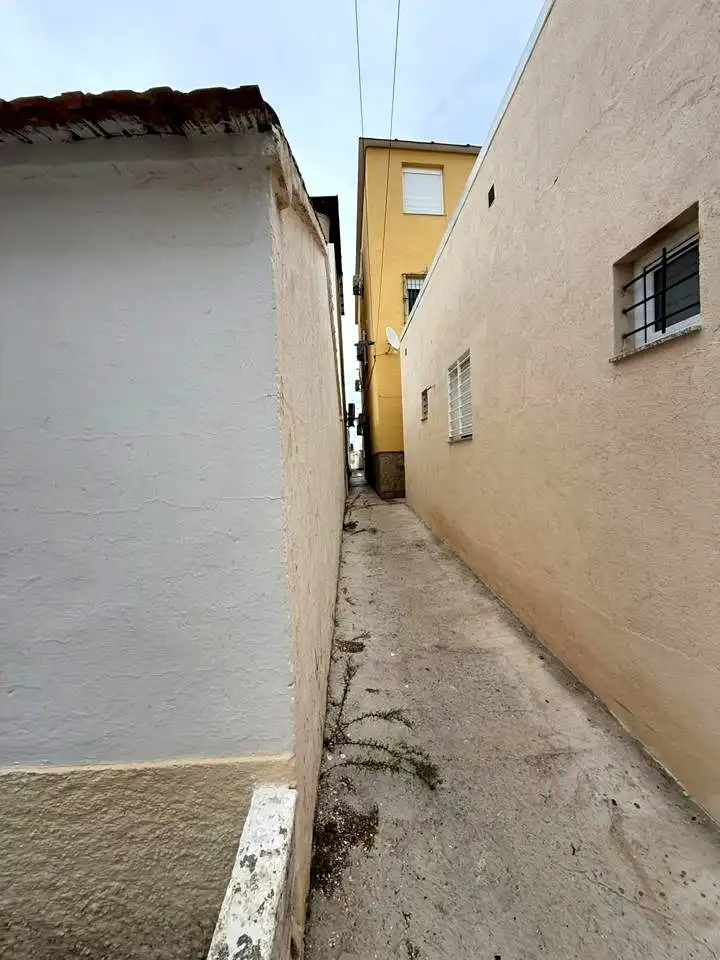 Houses for sale in monte hored, Campanillas