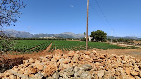 Photo 2 of Land for sale in Carrer Major, 18, Búger, Illes Balears