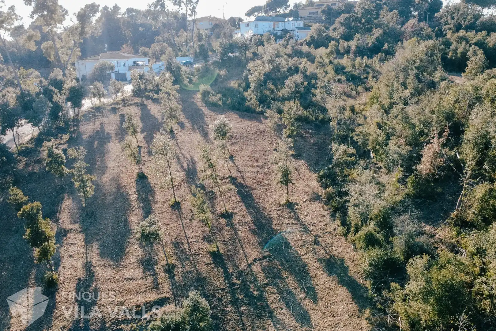 Lands and plots for sale in Calle Palaudaries, imagen 9