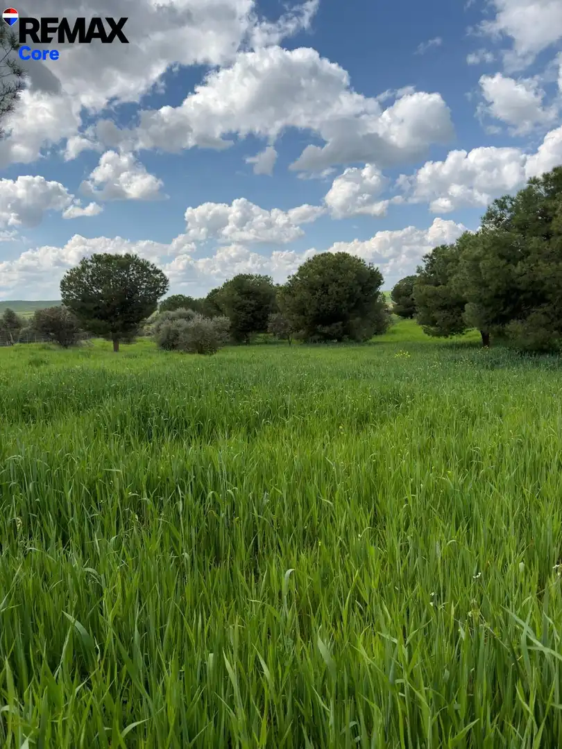 Land for sale in Valencia de las Torres