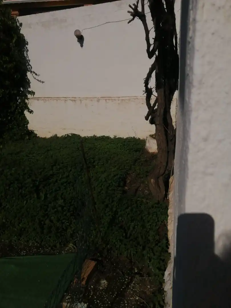 Casa o xalet en venda en Cártama amb Jardí privat, Terrassa i Piscina