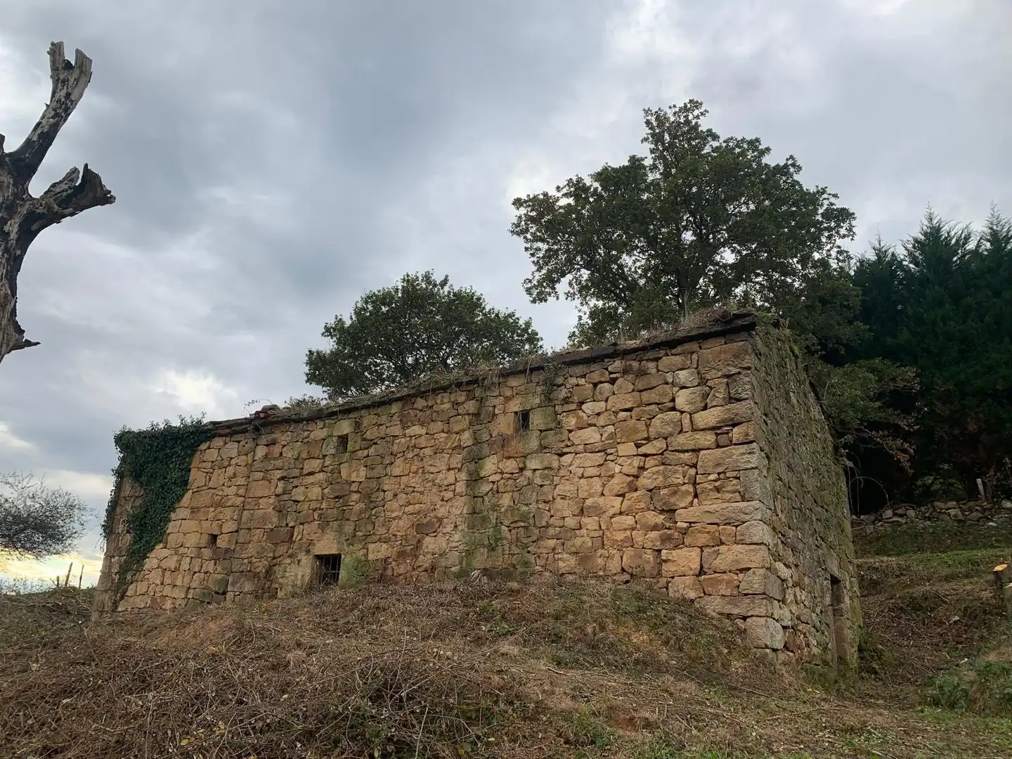 Vista exterior de Casa o chalet en venta en Saro con Jardín privado