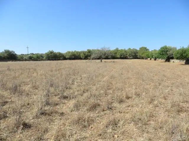 Residencial en venta en Campos