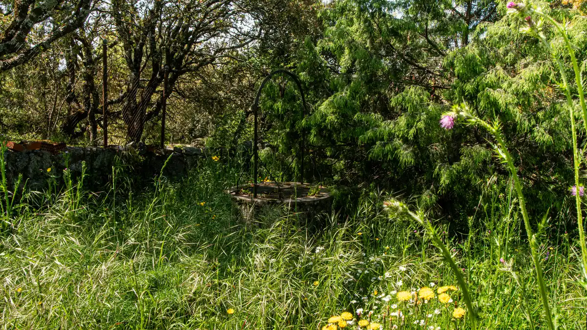 Jardí de Casa o xalet en venda en Fresnedillas de la Oliva amb Aire condicionat, Calefacció i Jardí privat