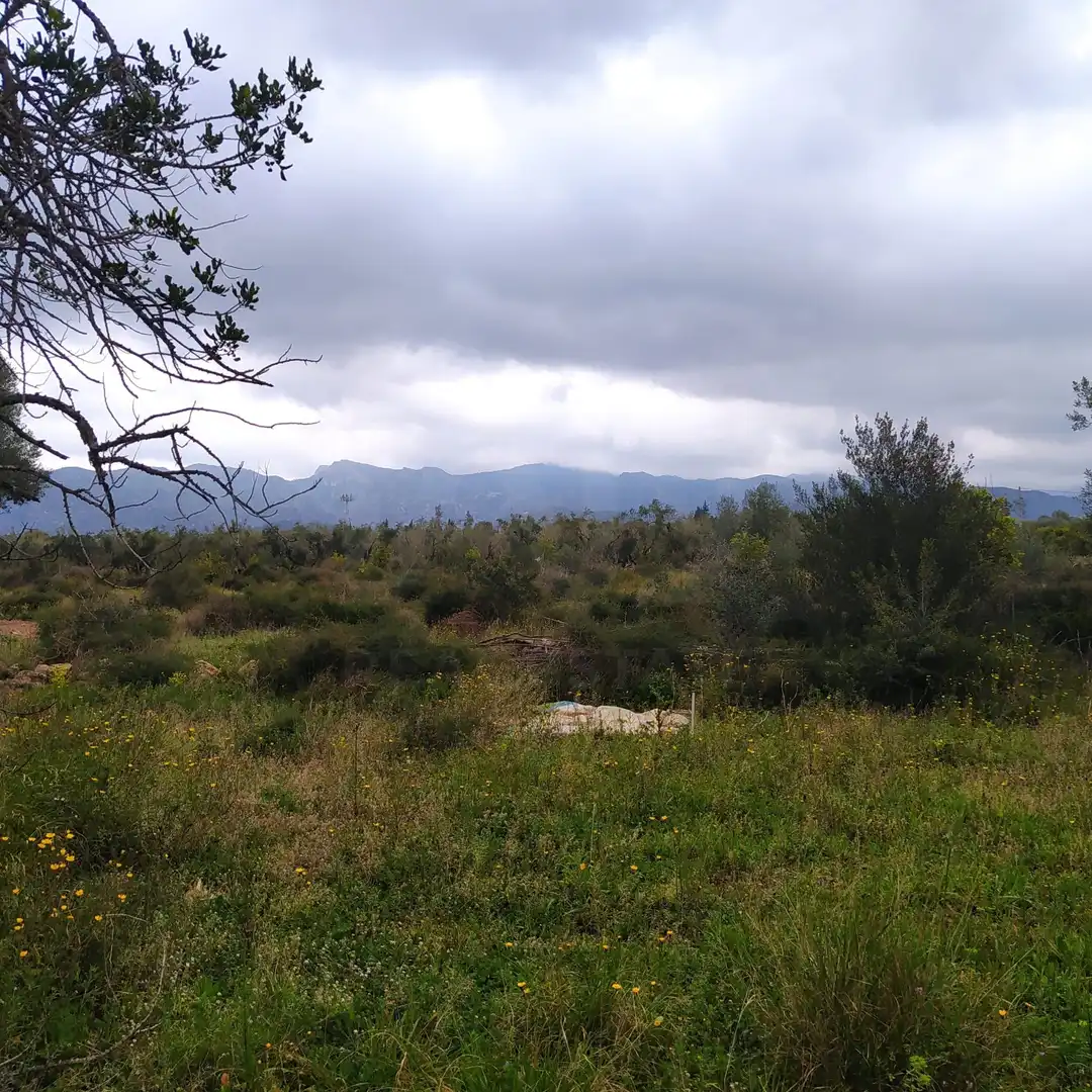 Terrain rustique à vendre à Tivenys, imagen 12