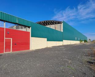 Exterior view of Industrial buildings for sale in Seseña