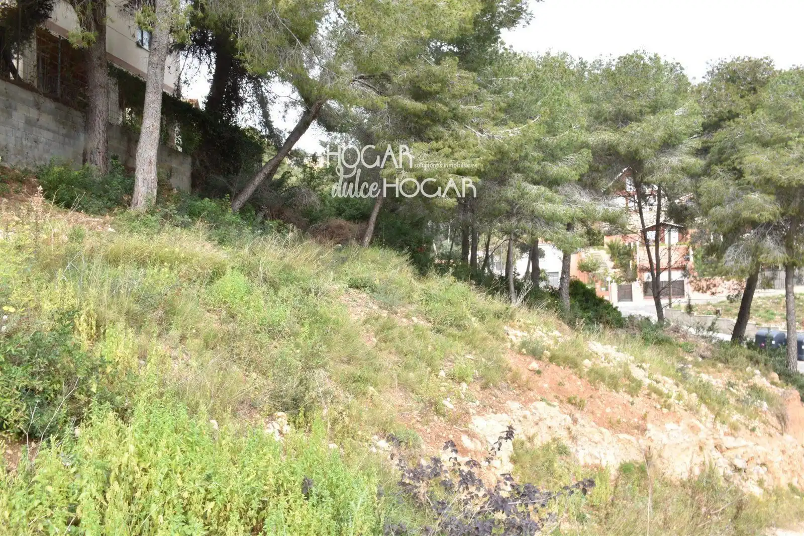 Rural land for sale in GLADIOL, imagen 6