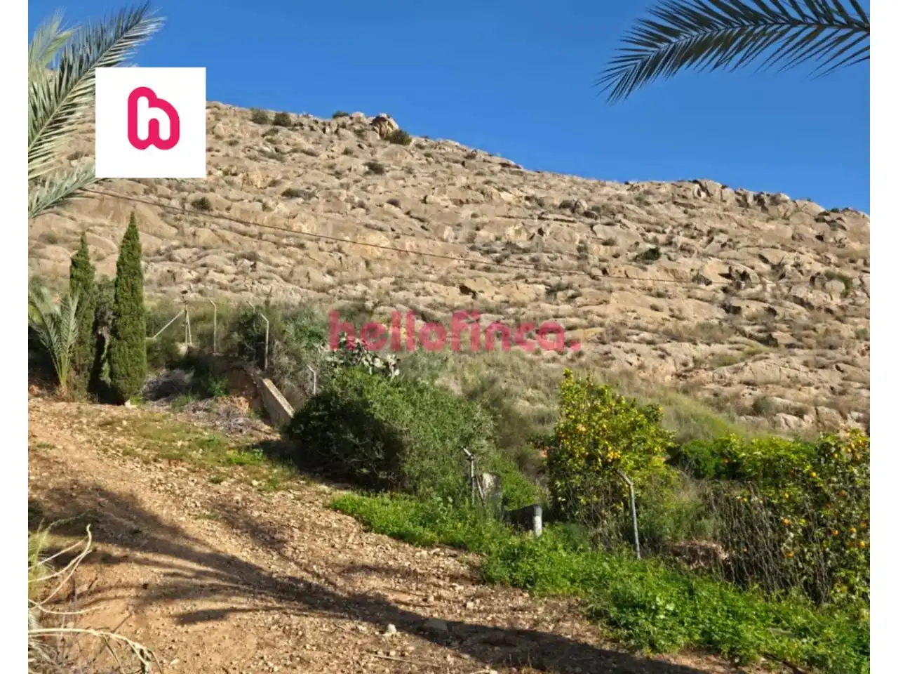 Finca rústica en venda en Orihuela amb Aire condicionat, Calefacció i Jardí privat