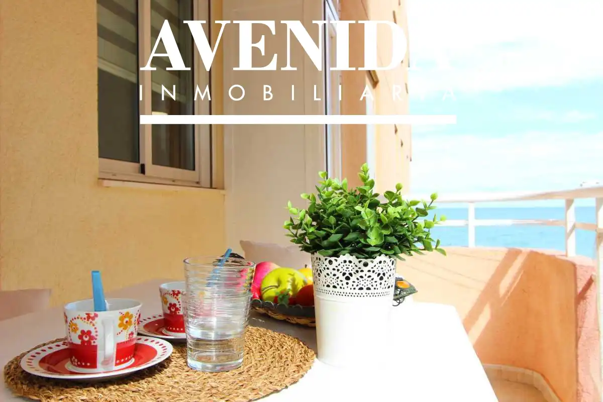 Estudio con piscina en venta en Marítimo Mediterráneo 47, imagen 4