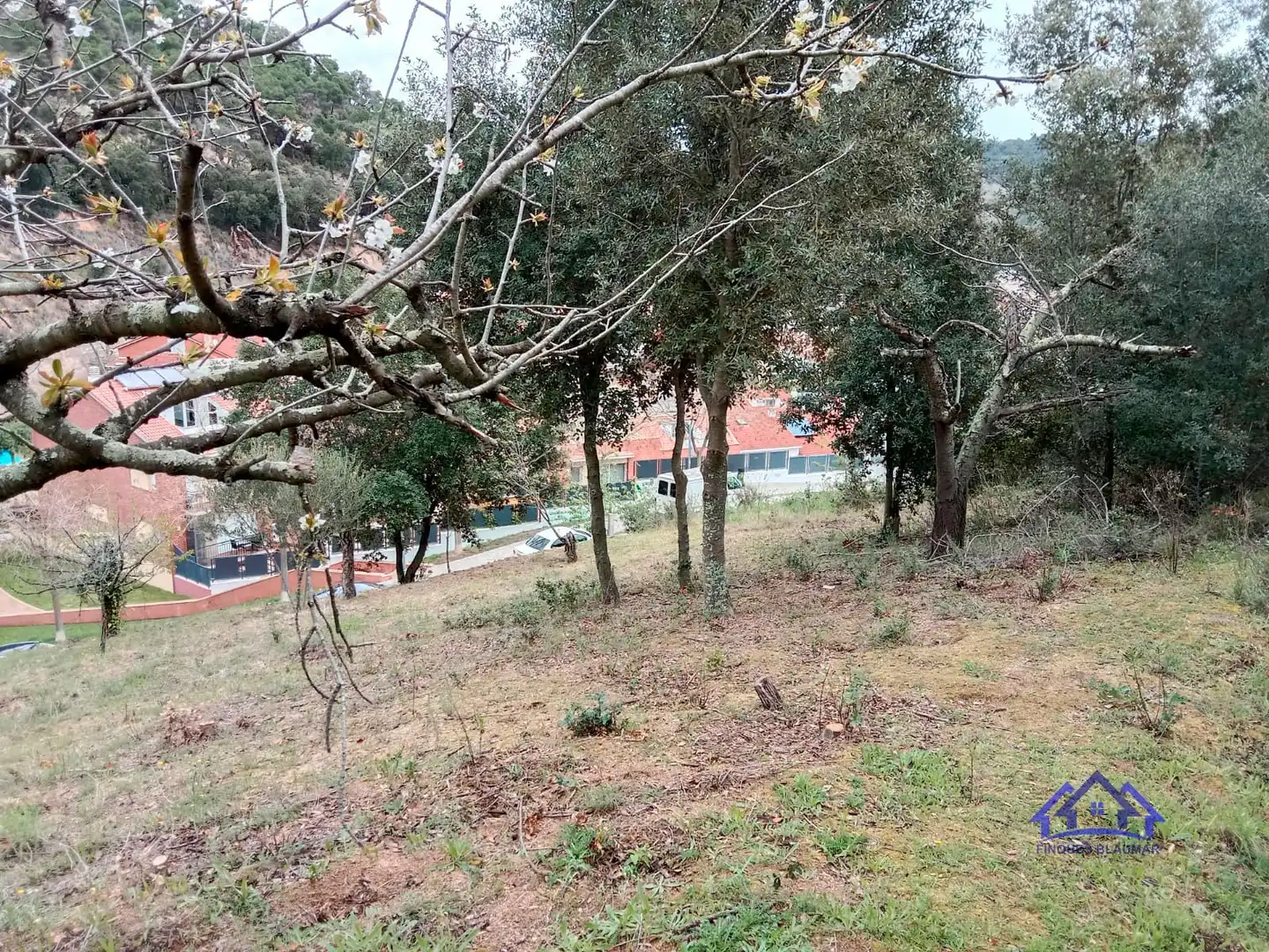 Grundstücke und Bauplätze zum Verkauf in Arenys de Munt, imagen 2