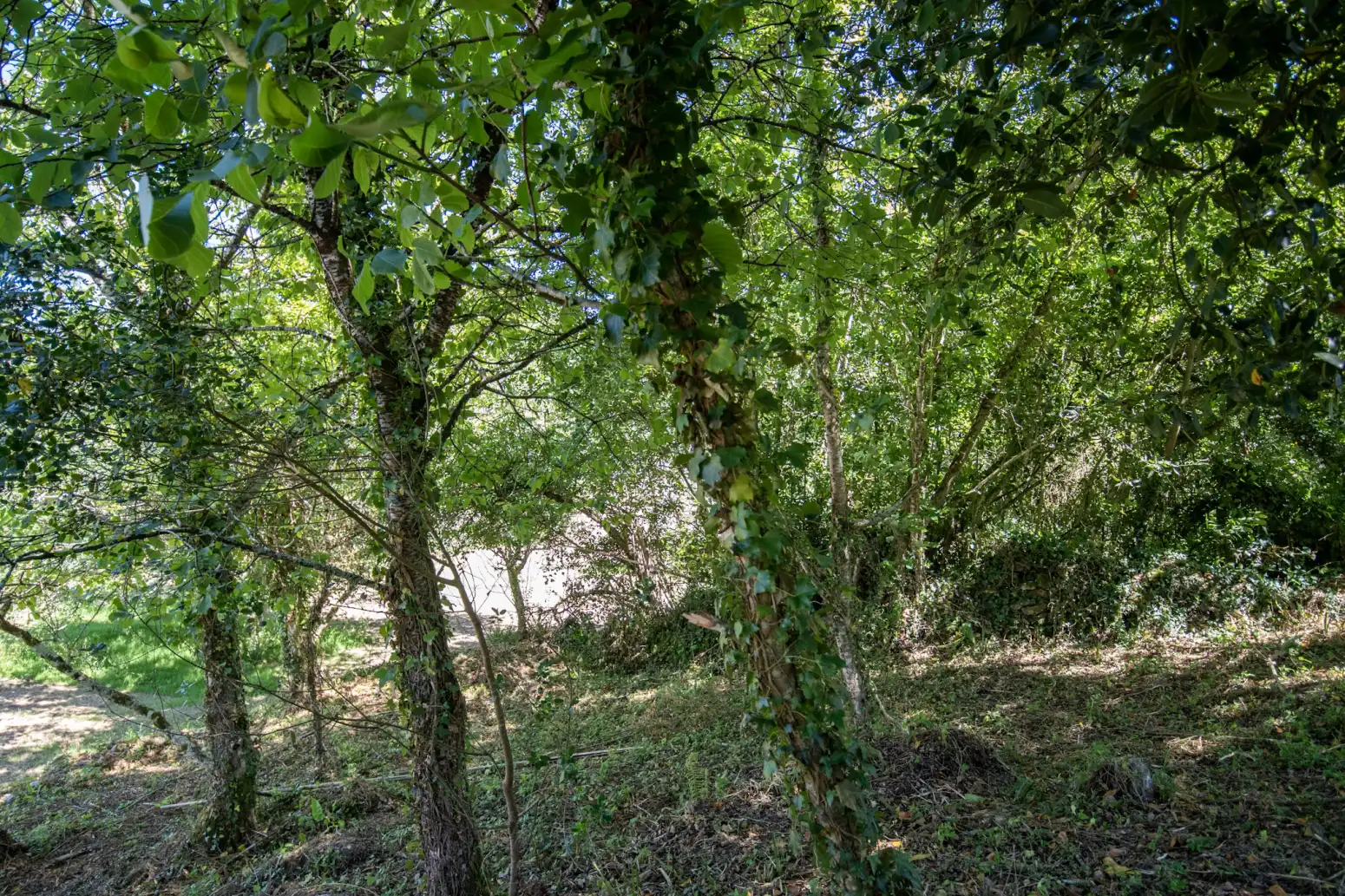 Terreno en venta en Villaviciosa