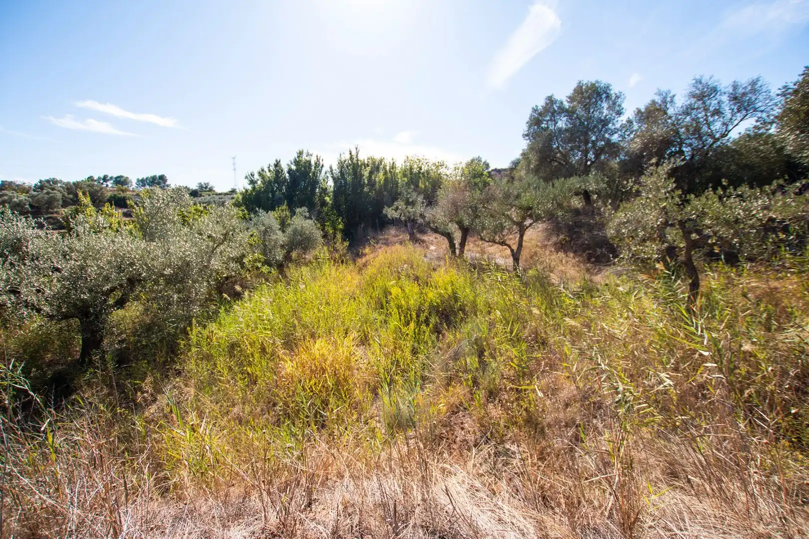 Terreno en venta en Caspe