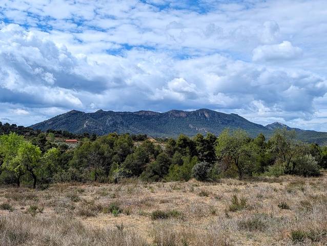 Terreno en Venta en Valderrobres
