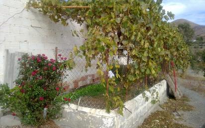 Garden of Country house for sale in Huércal-Overa
