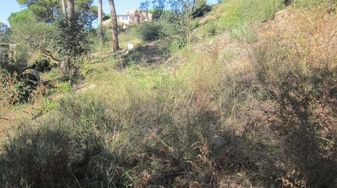 Foto 4 de Residencial en venda a Carrer del Puig Colomer, Terrafortuna - Puig Ventós, Vidreres