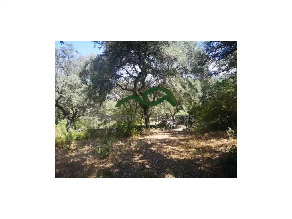Casa o chalet en venta en Algatocín