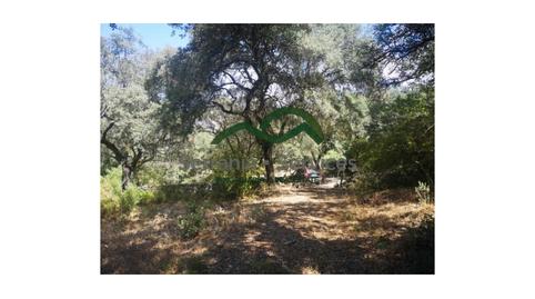 Foto 4 de Casa o xalet en venda a Algatocín, Málaga