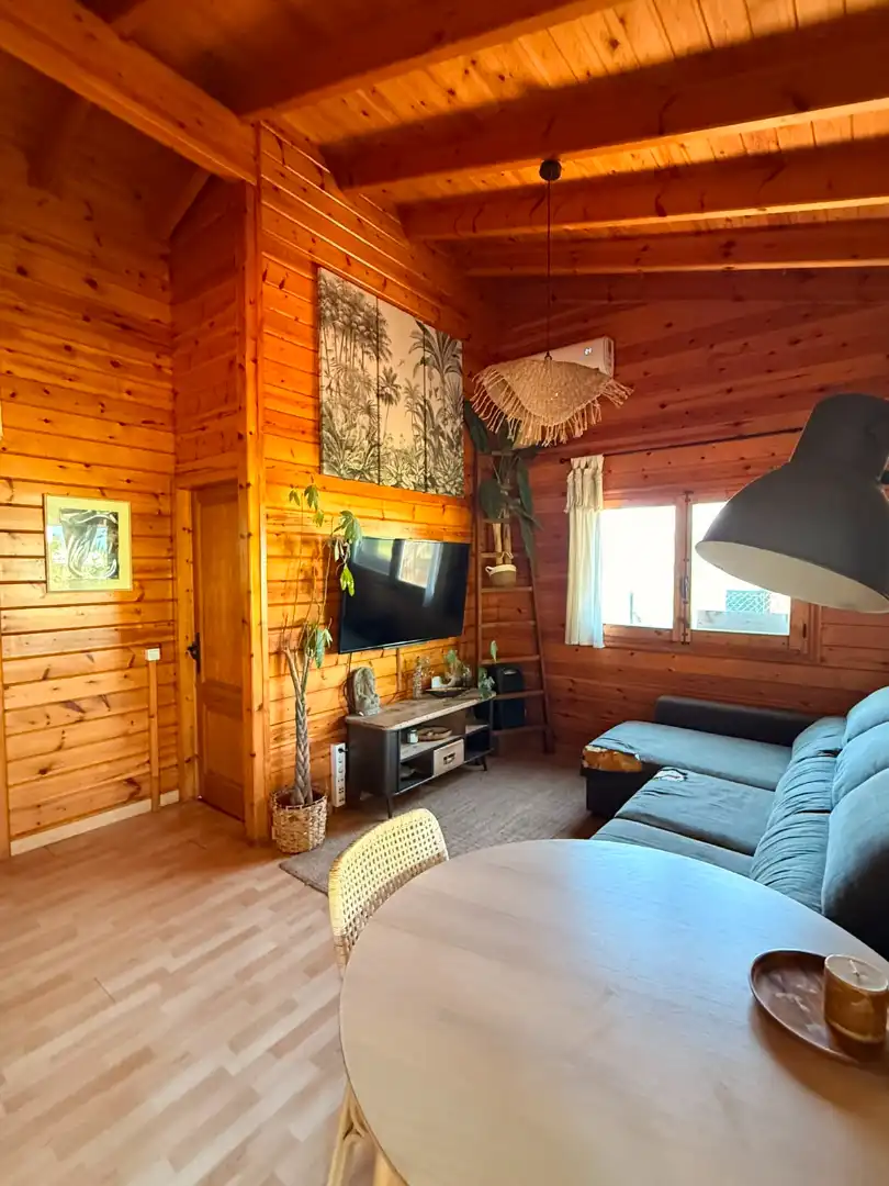 Sala d'estar de Casa o xalet en venda en Sant Lluís amb Aire condicionat, Calefacció i Jardí privat
