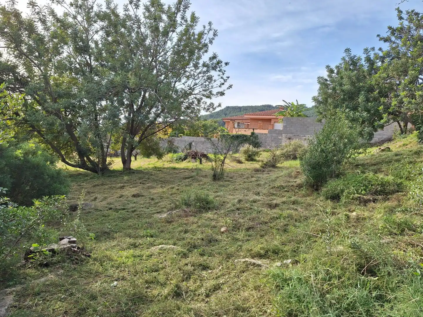 Terrenos y solares en venta en Alcover, imagen 3