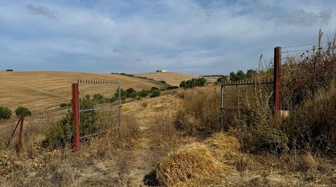 Foto 5 de Terreno en venta en Arcos de la Frontera, Cádiz