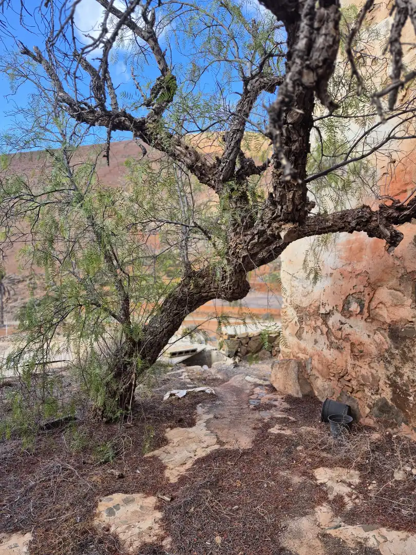 Vista exterior de Finca rústica en venda en Antigua amb Jardí privat i Terrassa