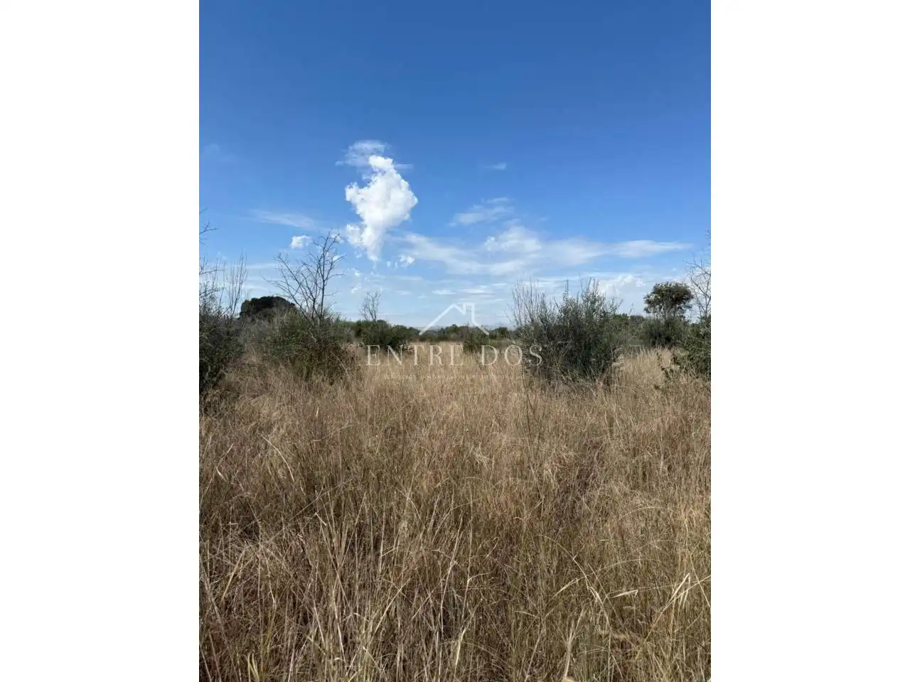 Terreny rústic en venda a Poligono POLIGONO 4 PARCELA 783, imagen 3