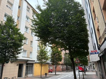 Appartement avec ascenseur à vendre à Oeste