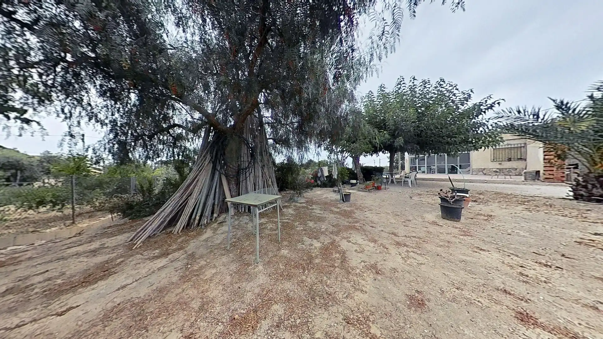 Jardí de Casa o xalet en venda en Elche / Elx amb Terrassa