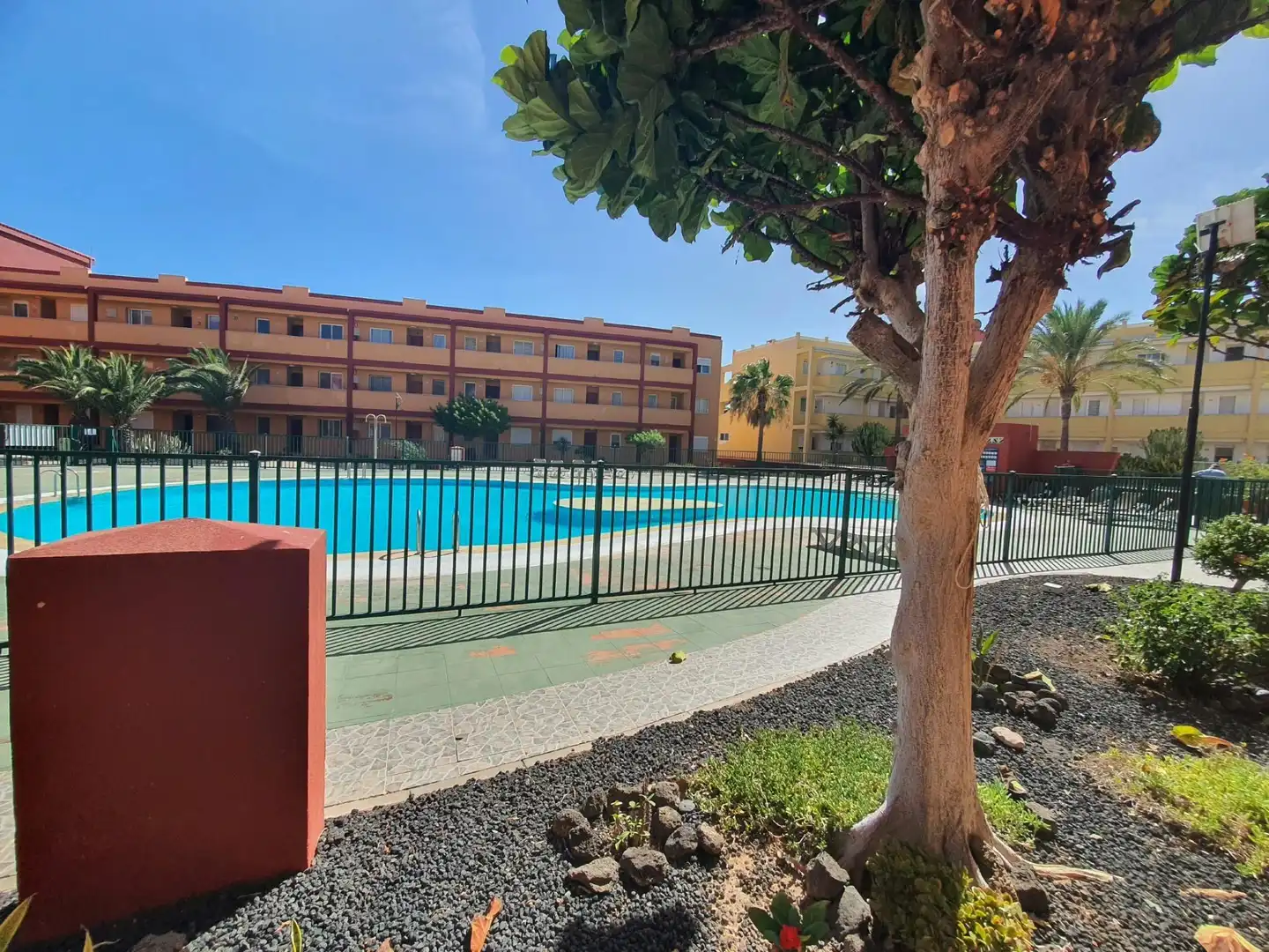 Swimming pool of Ground floor for sale in Parque Holandés