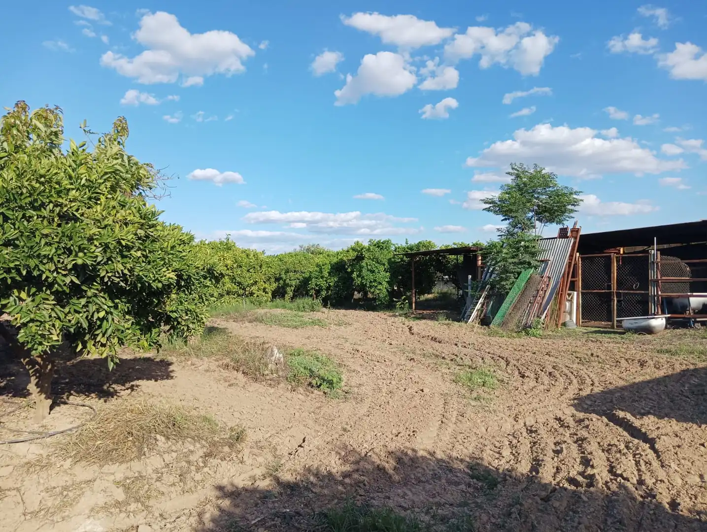 Terreno en venta en La Algaba