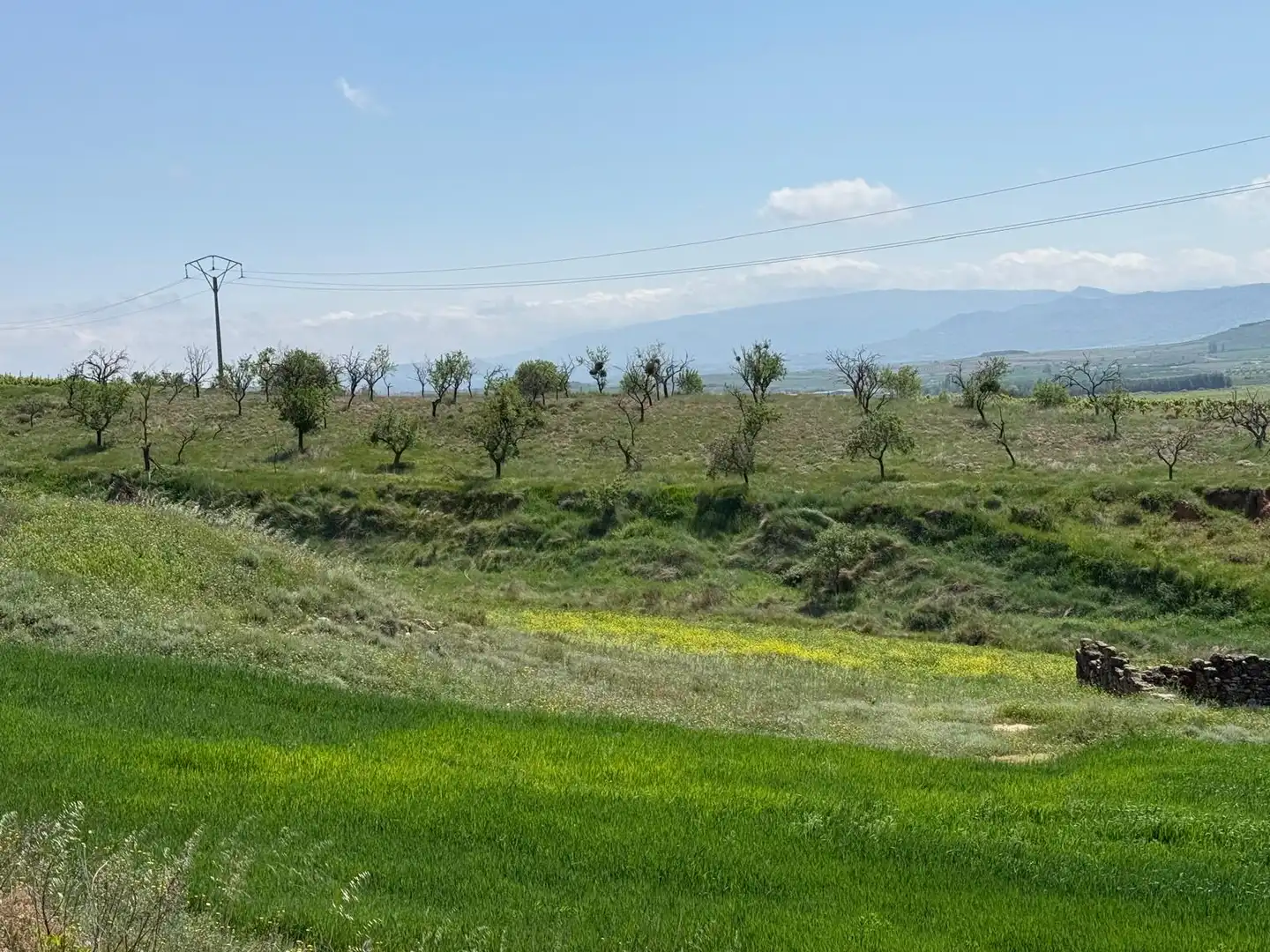 Rustikales Grundstück zum Verkauf in Villamediana de Iregua