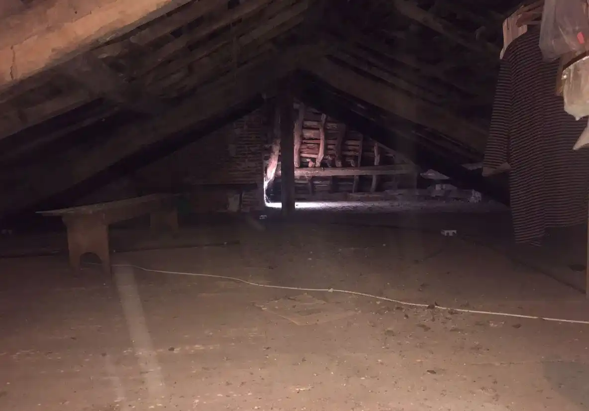 Finca rústica en venta en N/A, -1, Tineo