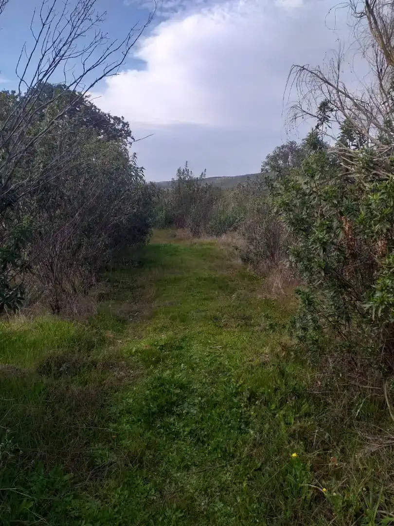 Finca rústica en venda en Hornachos amb Balcó