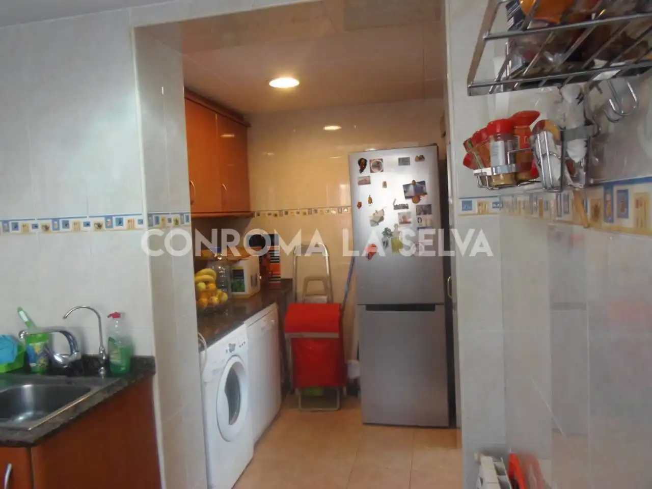House with garden for sale in Residencial Park, imagen 14