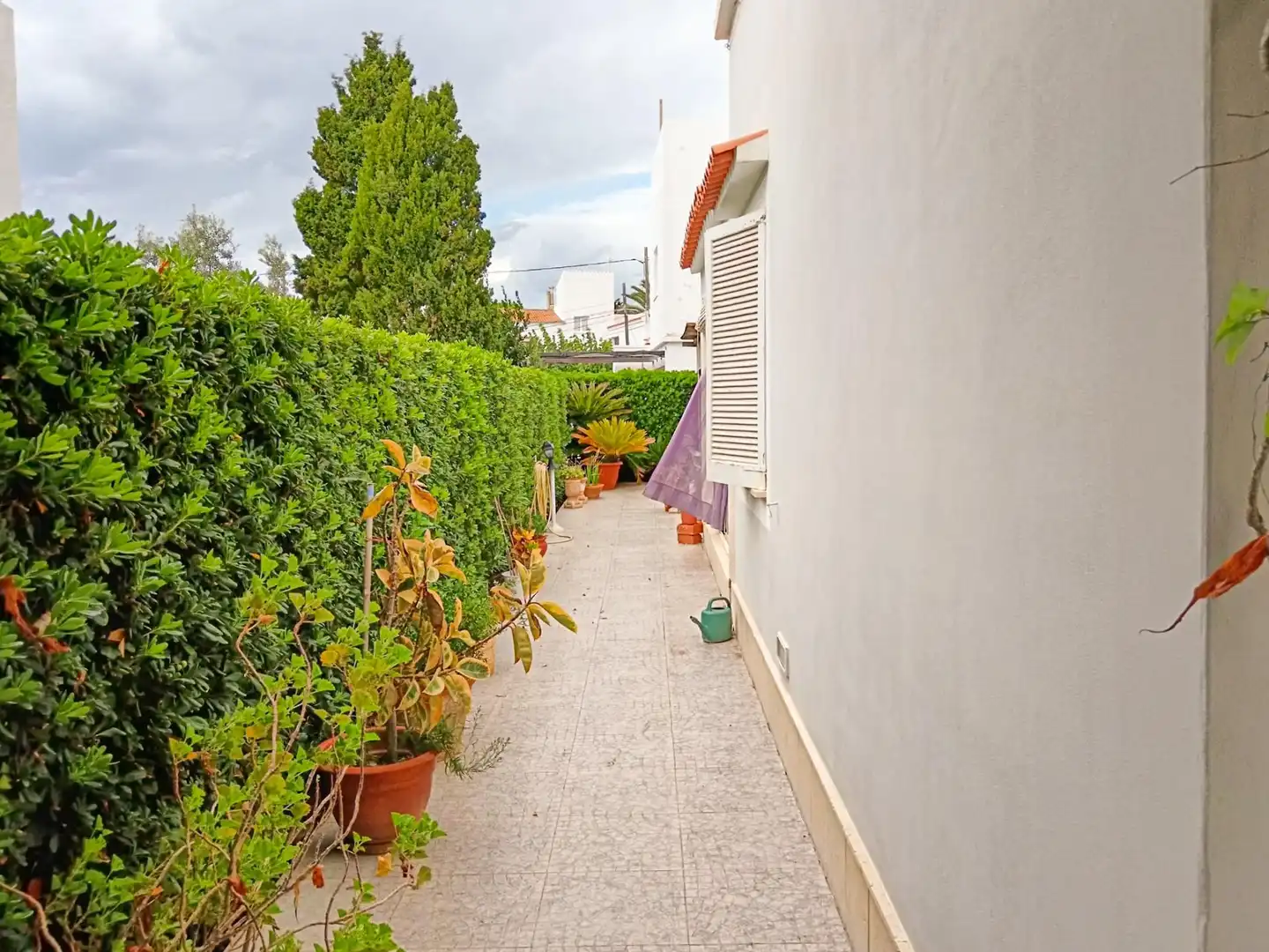 Jardí de Planta baixa en venda en Ciutadella de Menorca amb Aire condicionat, Jardí privat i Terrassa