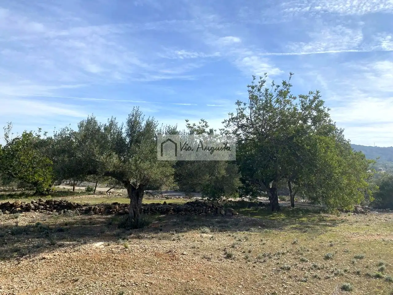 Terreno rustico in vendita a Planas, imagen 19