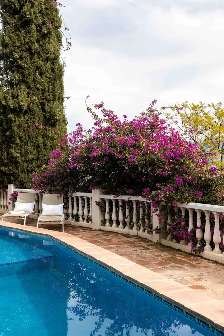 Terraza de Edificio en venta en Viñuela