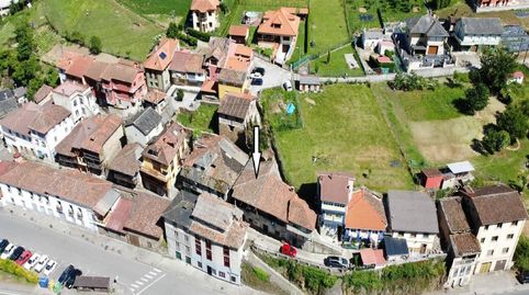 BO PALOMAR DE ABAJO CANGAS DE NARCEA ASTURIAS, imatge 2