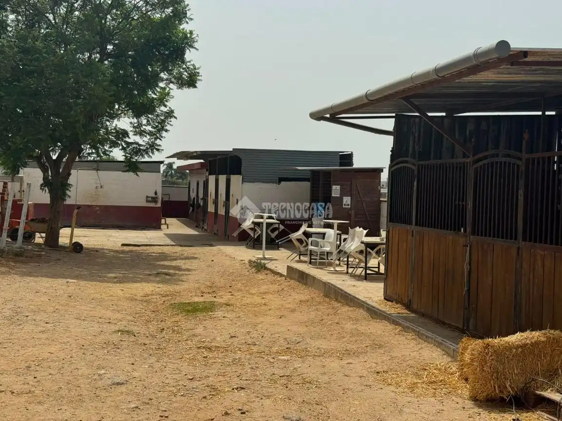 Casa rústica amb jardí en venda a Ctra Sanlúcar - Cuatro Pinos, imagen 16