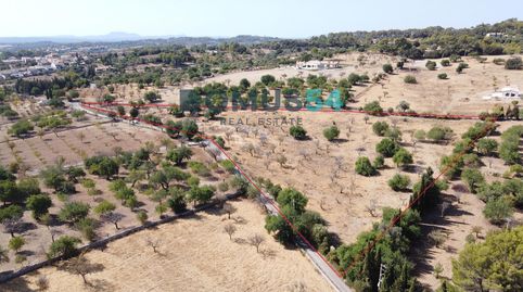 Terreno rústico edificable en Moscari con proyecto y licencia, immagine 3