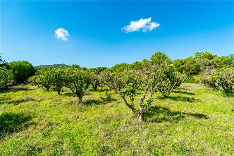 Maison rustique avec jardin à vendre à Son Servera Poble, imagen 30
