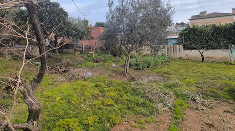 Foto 4 de Casa o xalet en venda a Riudarenes, Girona